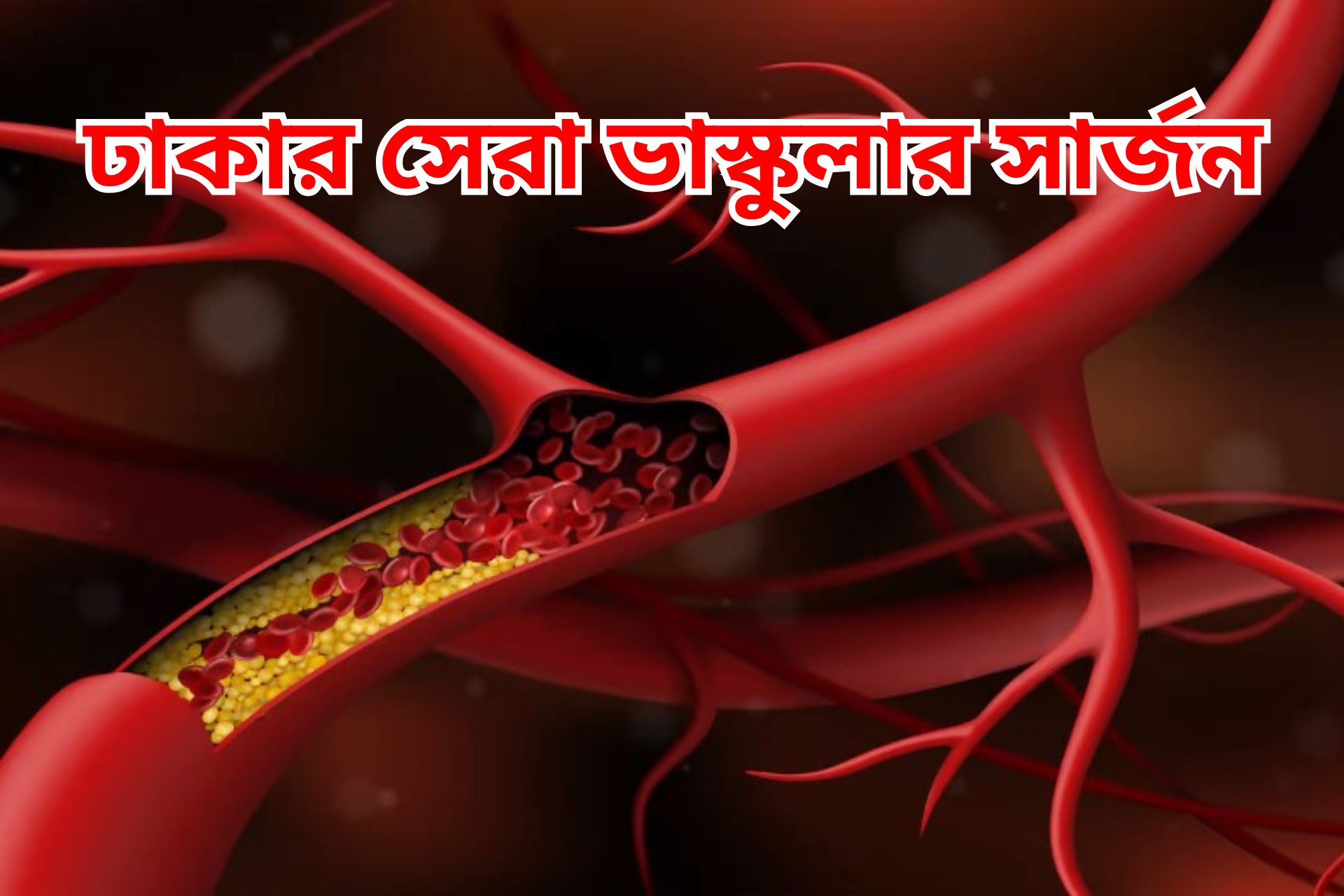 ঢাকার সেরা ভাস্কুলার সার্জন